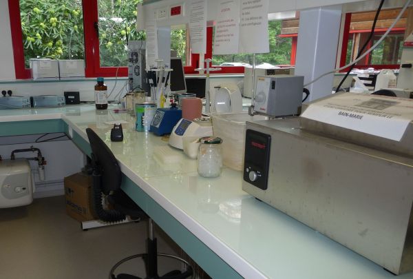 labo-bio-mol-3.jpg