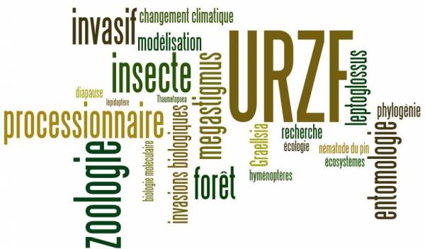 wordle
